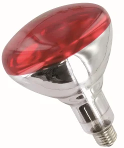 Discount Ampoule rouge Philips Matériel D'Écurie