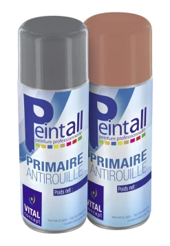 Online Aérosol de peinture primaire antirouille Outils