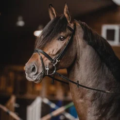 Clearance Bridon Easy Mors Filets & Bridons