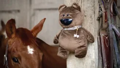 New Caméra Oskkio - Intelligence artificielle - Sans abonnement Caméra De Vidéo Surveillance