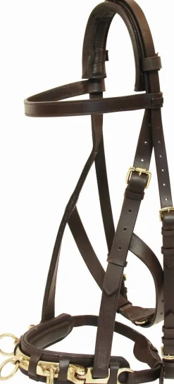 Sale Caveçon en cuir - T. cheval Travail À La Longe & Voltige