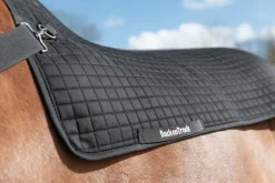 New Chauffe dos Back Warmer Royal - Back On Track Chauffe Dos