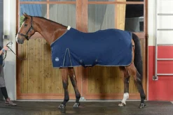 Online Chemise coton basic Horsewin Chemises