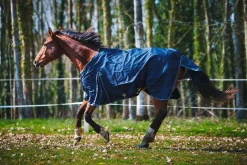 Chemise d'extérieur - Horsewin Basic Chemises