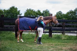 Sale Chemise magnétique - Horsewin Chemises