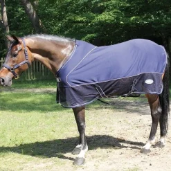 New Chemise séchante Chemises