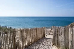 Sale Clôture ganivelle châtaignier Piquets Bois