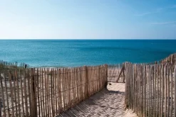 Sale Clôture ganivelle châtaignier Piquets Bois