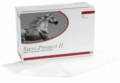 Clearance Compresses stériles - 10 pièces Produits De Pharmacie