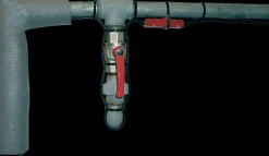 Best Cordon chauffant Distribution De La Ration