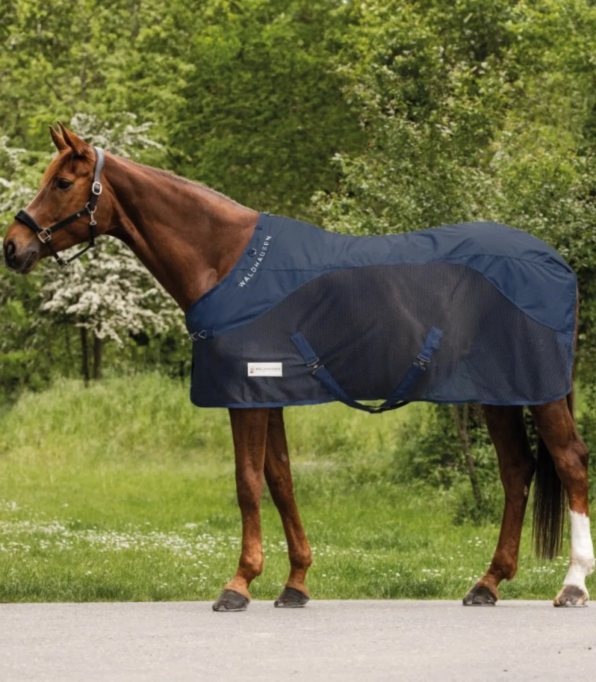 Discount Couverture de pluie anti-mouche Protection Contre Les Insectes