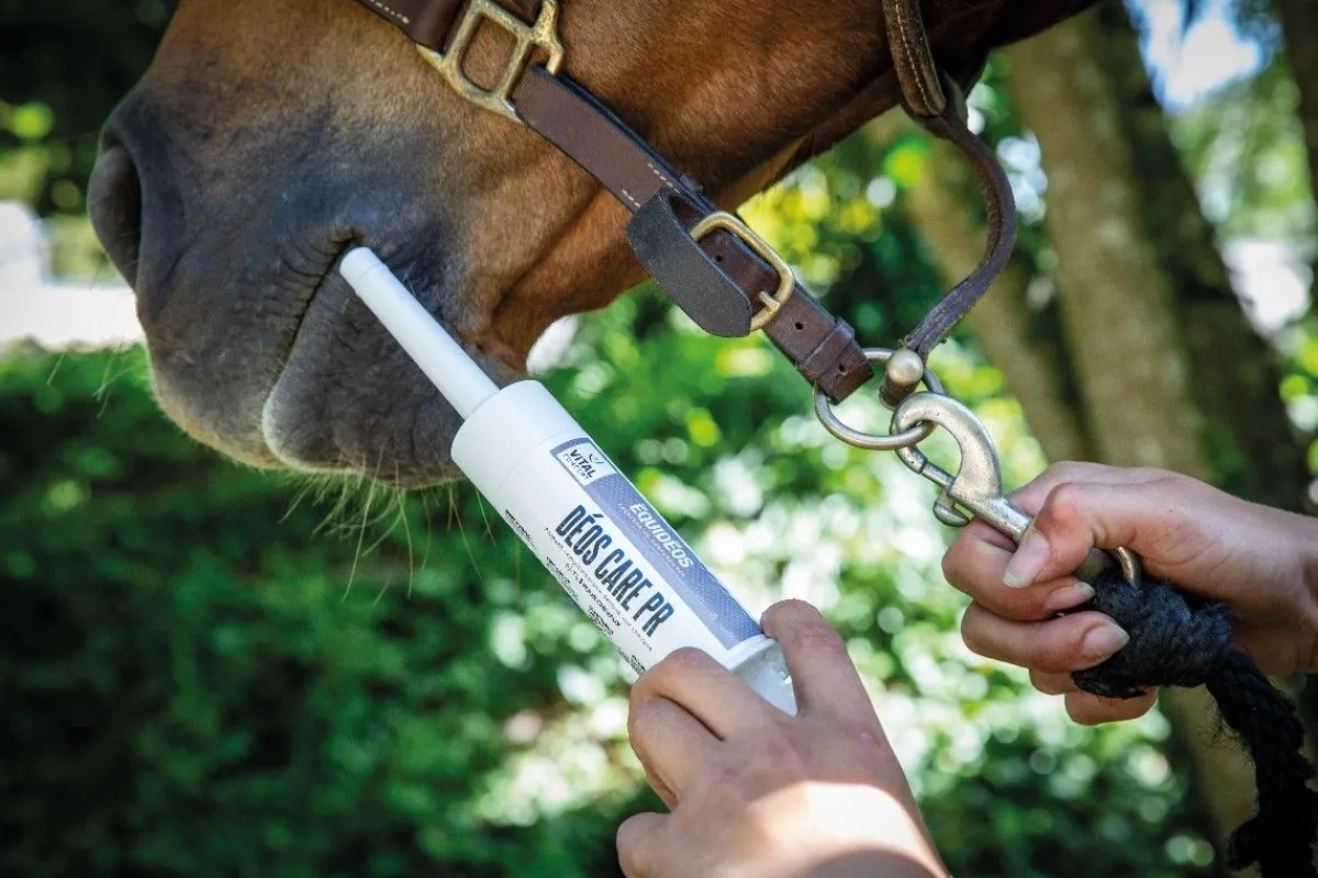 Clearance Déos Care PR - pâte - 100ml Aliments Complémentaires