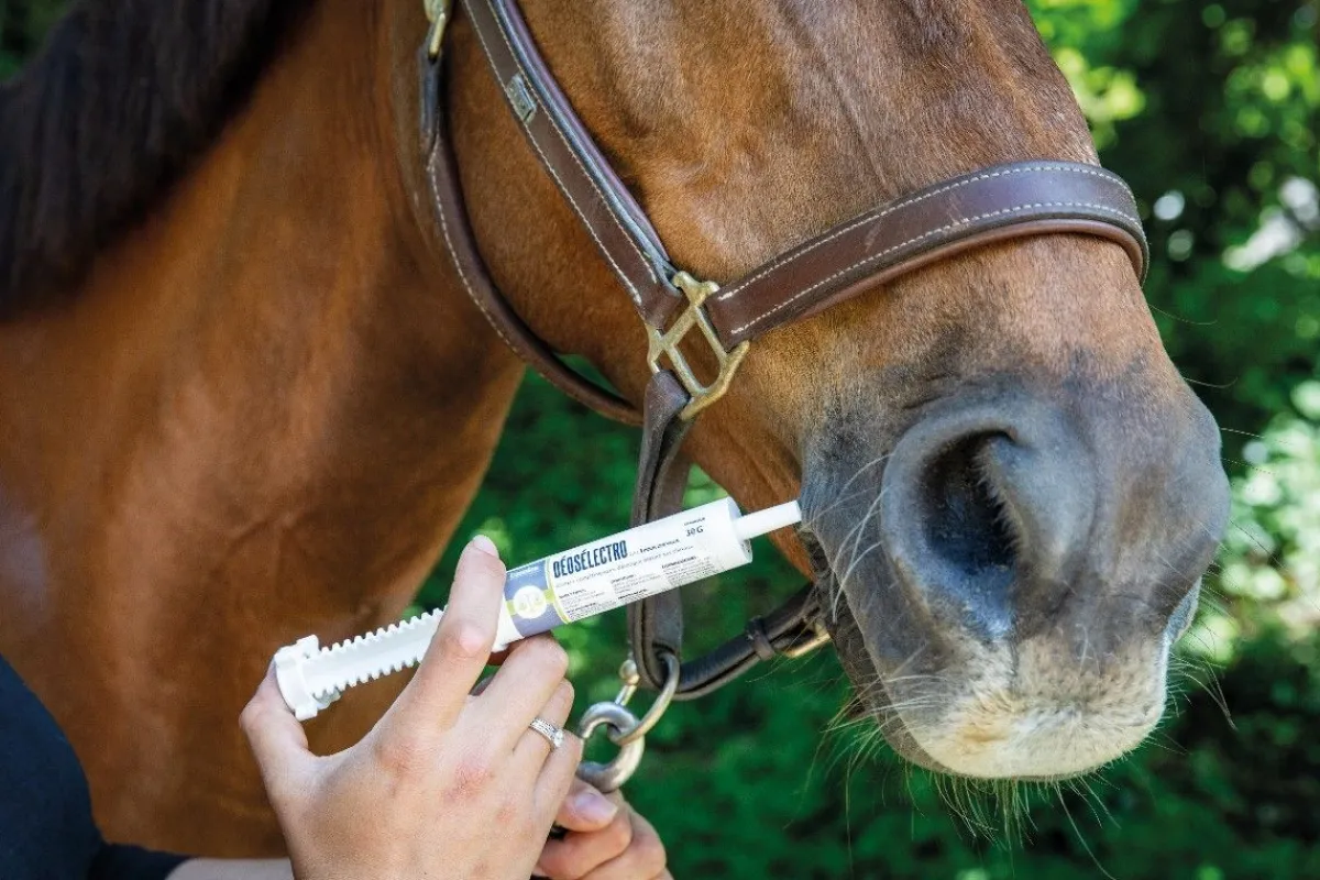 Sale Déosélectro - pâte - 30ml - 3 seringues Aliments Complémentaires