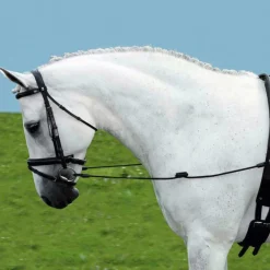 Hot Enrênement élastique - T. cheval Enrênements