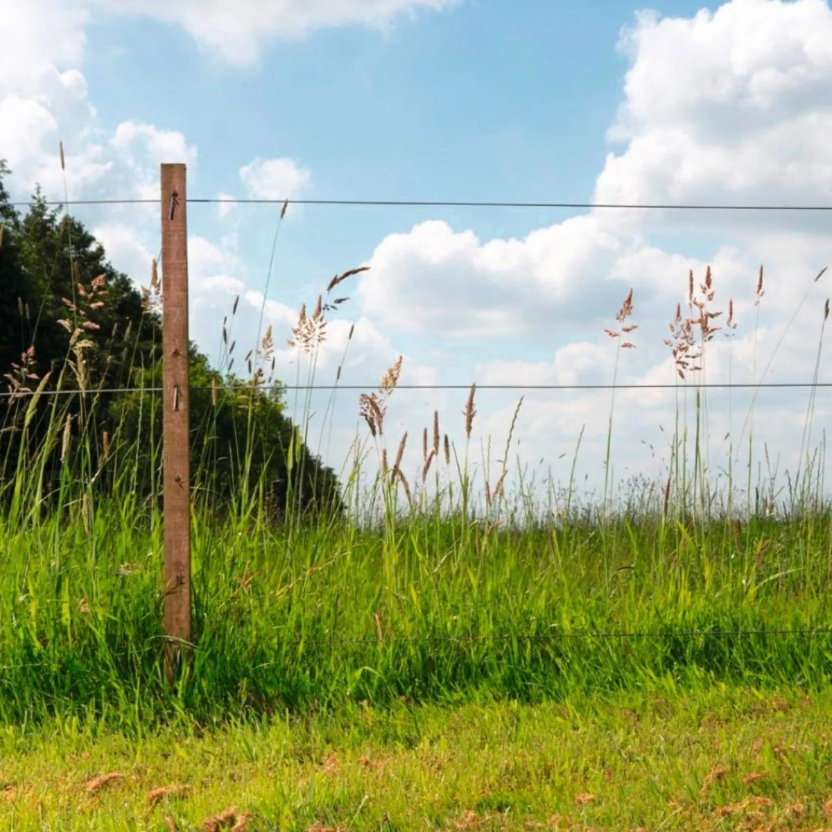 Outlet Fil High Tensile Fil De Clôture