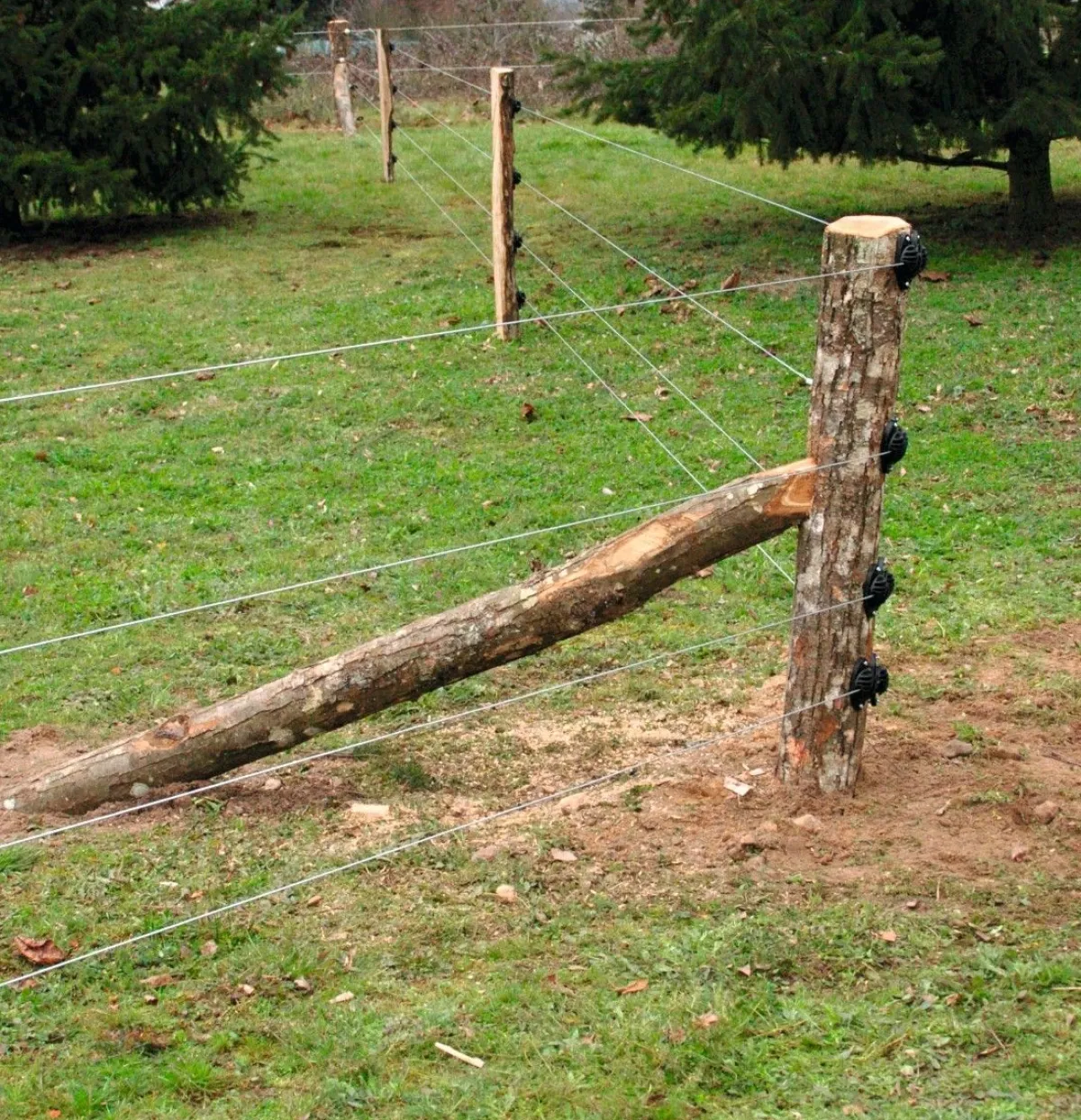 Outlet Fil High Tensile Fil De Clôture