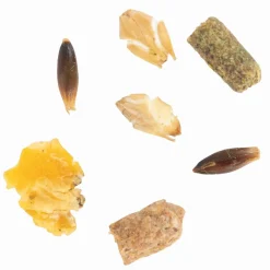 Outlet Floc Sport Aliments Complets