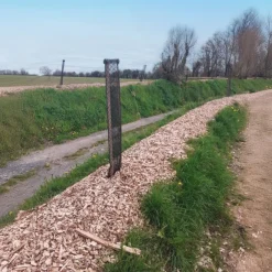 Hot Gaine de protection BrocarStop GP+ - 50 pièces Aménagement Extérieur