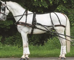 Online Harnais marathon - T. cheval de trait Attelage