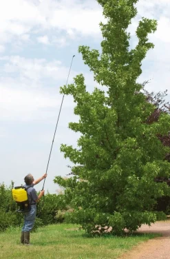 Discount Lance de pulvérisation télescopique - 3.60m Pulvérisateurs|Outils