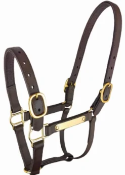 New Licol Biotack - T. Cheval Licols Et Longes