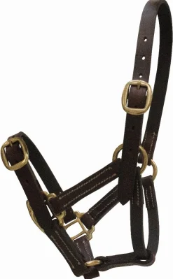 Online Licol cuir - Latigo/Celtic Equine Licols Et Longes