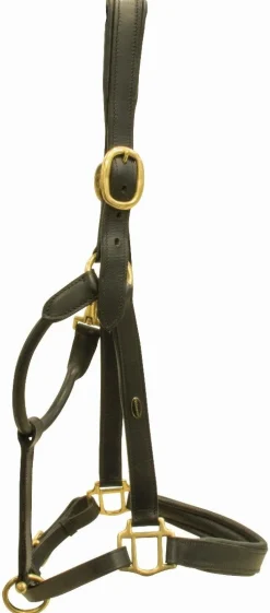 Best Licol en cuir - T. Cheval de trait - Noir Attelage