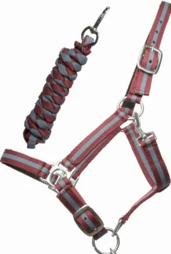 Outlet Licol et longe nylon doublé cuir Licols Et Longes