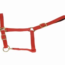 New Licol nylon doublé cuir Licols Et Longes