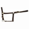 New Licol nylon doublé cuir - Marron - T.Yearling Licols Et Longes