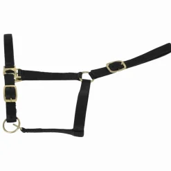 Licol nylon doublé cuir - T. cheval de trait Attelage|Licols Et Longes