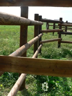 Best Lisse demi-rond en pin CL4 Piquets Bois