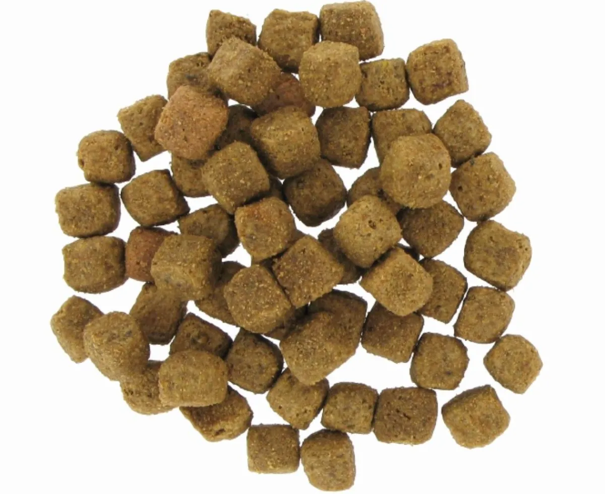 Sale Mag Life Premium Adult - 20kg Aliments Animaux De Compagnie