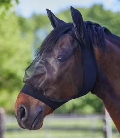 Online Masque anti-mouches stretch Protection Contre Les Insectes