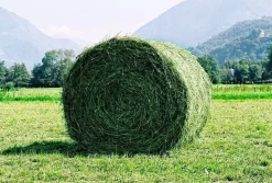 Mix fauche LD PRO - 15kg Semences Fourragères