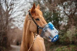 Best Nébuliseur SaHoMa® II Nébuliseur