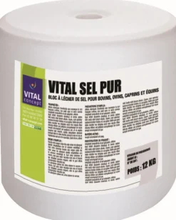 Clearance Pierre de sel pur Sel Et Pierre De Sel