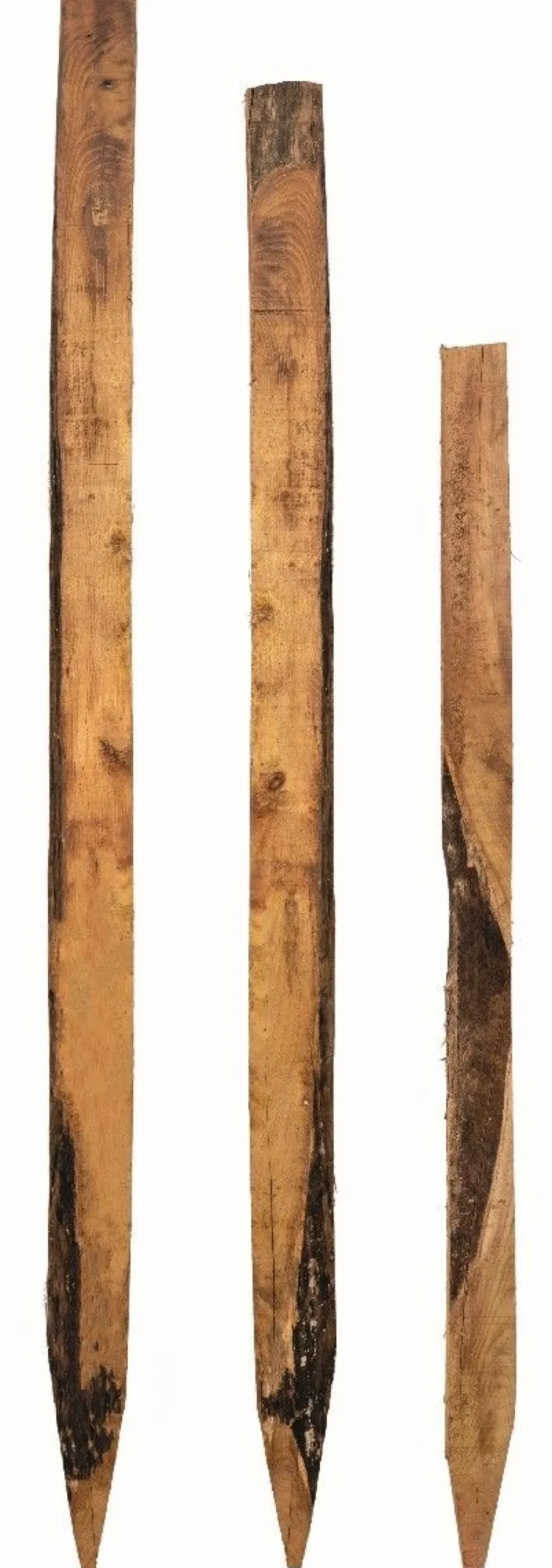 Online Piquet acacia non écorcé scié Piquets Bois