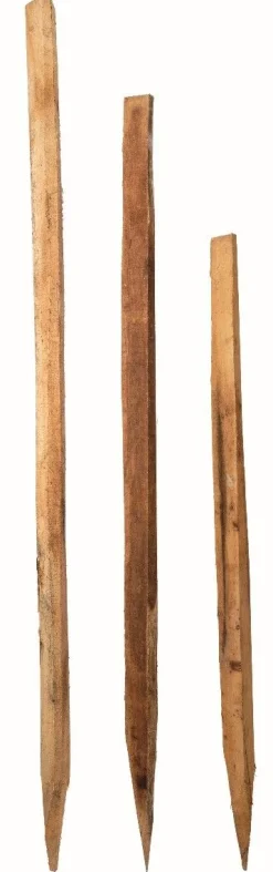Sale Piquet acacia polygonal Piquets Bois