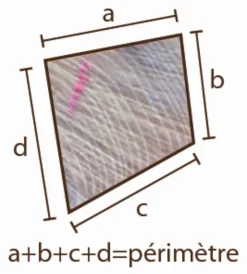 Sale Piquet acacia polygonal Piquets Bois