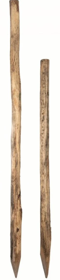 Hot Piquet acacia rond calibre 8/10cm Piquets Bois