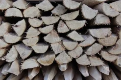 Piquet châtaignier fendu Piquets Bois