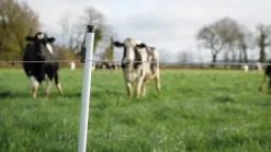 Clearance Piquet PVC haute densité Piquets