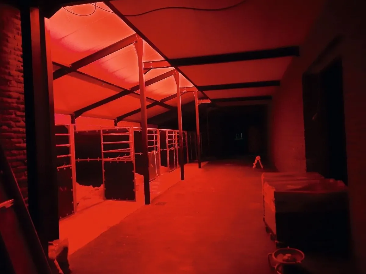 Sale Plafonnier d'écurie LED - Option veille de nuit Éclairage Des Écuries