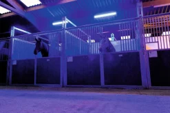 Clearance Plafonnier d'écurie LED - Option photostimulation Éclairage Des Écuries