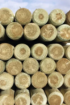 New Poteau rond en pin CL4 non épointé Piquets Bois