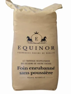 New Préfané Equinor Matières Premières