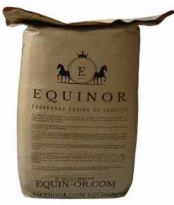 Discount Préfané Ray Grass Equinor Matières Premières