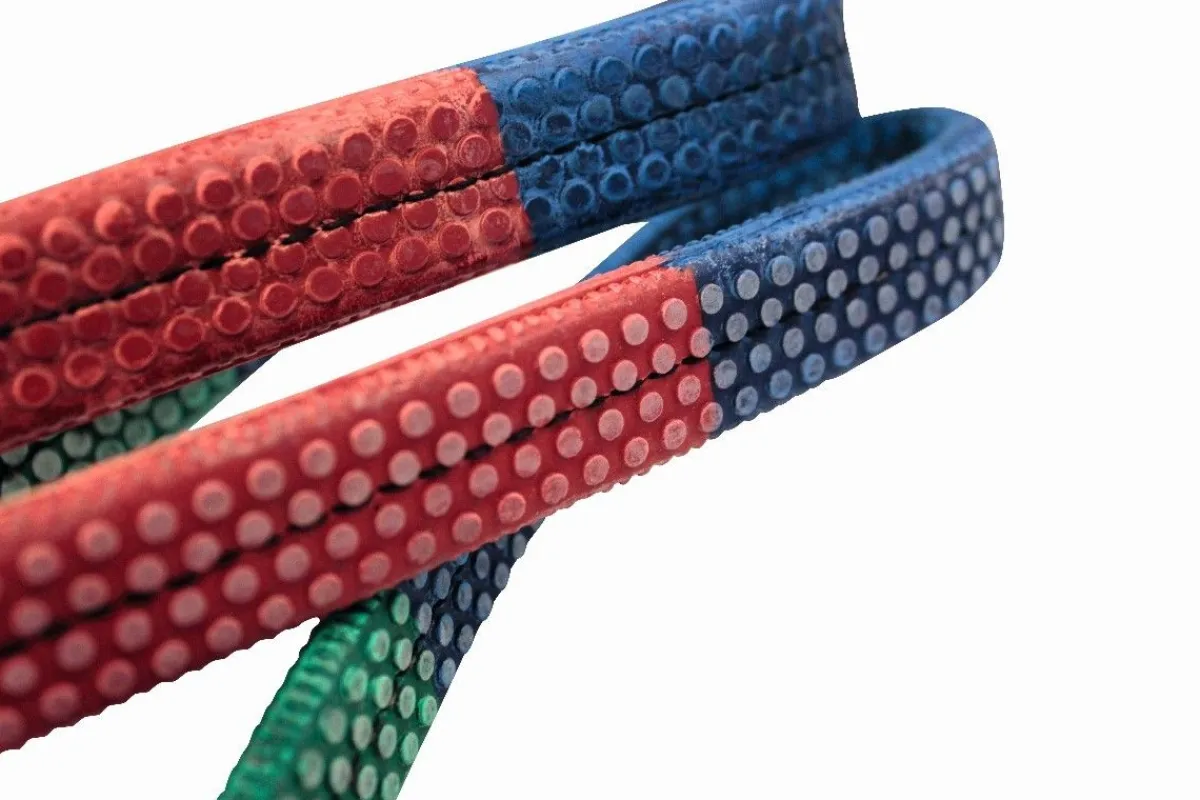 Clearance Rênes éducatives Filets & Bridons