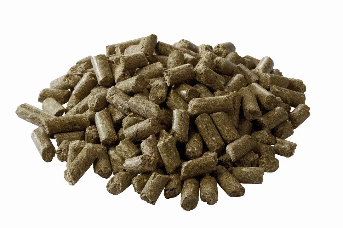 Sport GR Aliments Complets